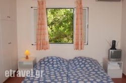 Inglessata Rose hollidays