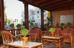 Saimon - Sogiorka hollidays Saimon - Sogiorka hollidays