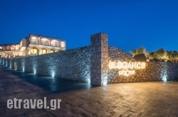 Elegance Luxury Executive Suites hollidays