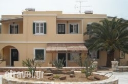 Palaiologos hollidays