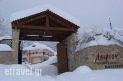 Leirion hollidays Leirion hollidays