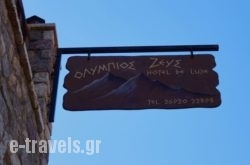 Olympios Zeus Hotel  