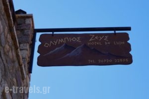Olympios Zeus Hotel_accommodation_in_Hotel_Peloponesse_Achaia_Zachlorou