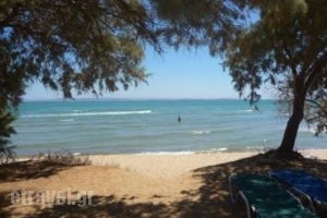 Spiti Anatoli_travel_packages_in_Aegean Islands_Chios_Karfas