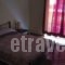 The Viktoria Inn_holidays_in_Room_Central Greece_Attica_Athens