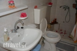 Poseidon Studios hollidays Poseidon Studios hollidays