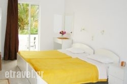 Dias hollidays Dias hollidays