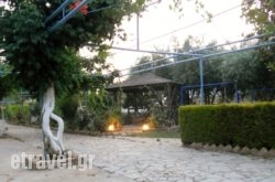 Dimitra Family Hotel hollidays Dimitra Family Hotel hollidays