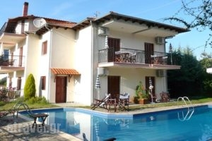 Aliston Hotel Studios_accommodation_in_Hotel_Aegean Islands_Thasos_Thasos Chora