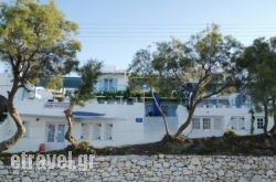 Carmel hollidays Carmel hollidays