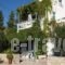 Elena Bungalows_travel_packages_in_Aegean Islands_Samos_Pythagorio