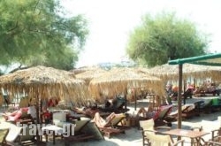 Fun Beach hollidays