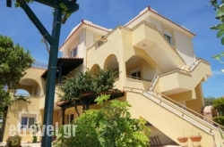 Manos hollidays Manos hollidays