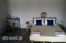 Thea Houses hollidays Thea Houses hollidays