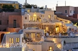 Heliophos hollidays Heliophos hollidays