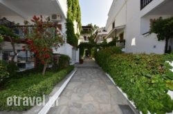 Argo hollidays Argo hollidays