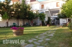 Kleopatra hollidays Kleopatra hollidays