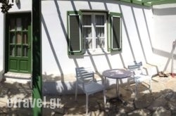 Adonis hollidays Adonis hollidays