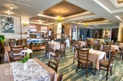 Delfini hollidays Delfini hollidays