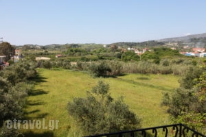 Ammousa Apartments_lowest prices_in_Apartment_Ionian Islands_Kefalonia_Lixouri