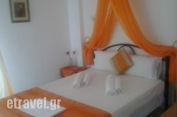 House Mantesos hollidays