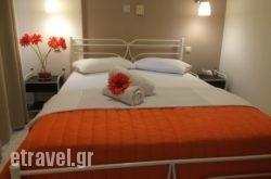 Sunny Studios hollidays