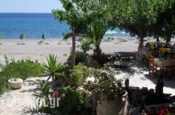 V&C Paradise Apartments hollidays V&C Paradise Apartments hollidays