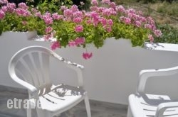 Heracles hollidays Heracles hollidays