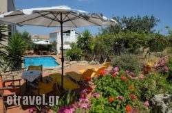 Bicorna hollidays Bicorna hollidays