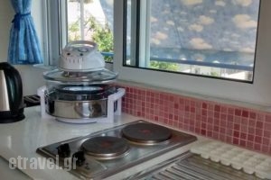 Olga Studios_lowest prices_in_Room_Dodekanessos Islands_Rhodes_Faliraki