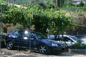 House Mantesos_lowest prices_in_Hotel_Aegean Islands_Thassos_Kinyra