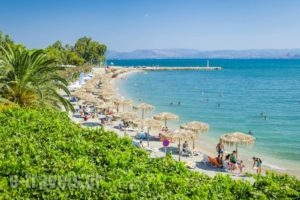 Pension Zephyros_travel_packages_in_Peloponesse_Arcadia_Astros