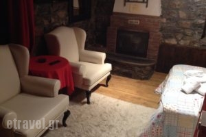 Asteras Tou Vorra_holidays_in_Hotel_Macedonia_Pella_Neos Agios Athanasios