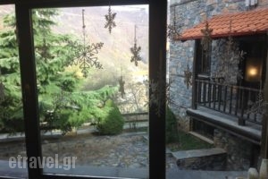 Asteras Tou Vorra_best prices_in_Hotel_Macedonia_Pella_Neos Agios Athanasios