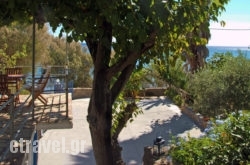 Zaga-Giorgos Papasarantopoulos hollidays