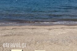 Reef hollidays Reef hollidays