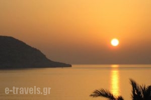Ardani Bay Studios_best deals_Hotel_Dodekanessos Islands_Karpathos_Karpathos Chora