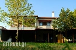 Elizabeth'S House hollidays Elizabeth'S House hollidays