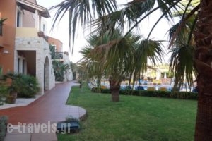 Dia Apartments_best deals_Apartment_Crete_Heraklion_Chersonisos