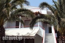 Irini Studios hollidays Irini Studios hollidays