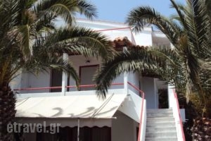 Irini Studios_accommodation_in_Hotel_Aegean Islands_Lesvos_Plomari