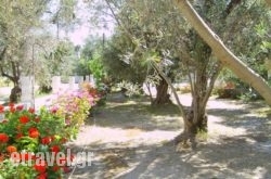 Thendraki Apartments hollidays