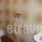 Pension Dimitra_best deals_Hotel_Sporades Islands_Skopelos_Skopelos Chora