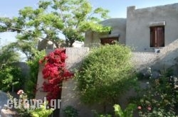 Cavo Grosso hollidays