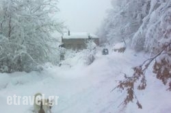 Lydia Lithos hollidays Lydia Lithos hollidays