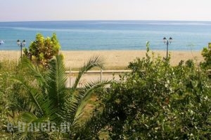Apartments Ziogas_travel_packages_in_Macedonia_Pieria_Dion