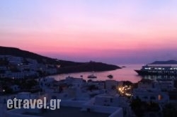 Marietta Studios hollidays