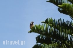 Maridatis Apartments hollidays