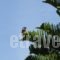 Maridatis Apartments_accommodation_in_Apartment_Crete_Lasithi_Sitia