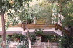 Pension Dryoussa hollidays Pension Dryoussa hollidays